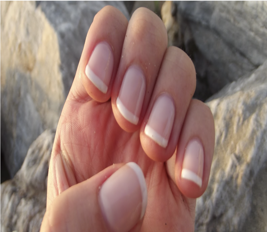 French Geleration